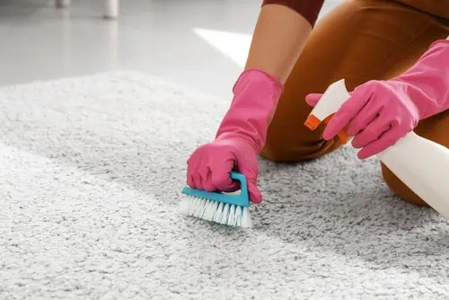 rug cleaning service